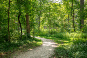 Vissing Park Trails in Jeffersonville Indiana